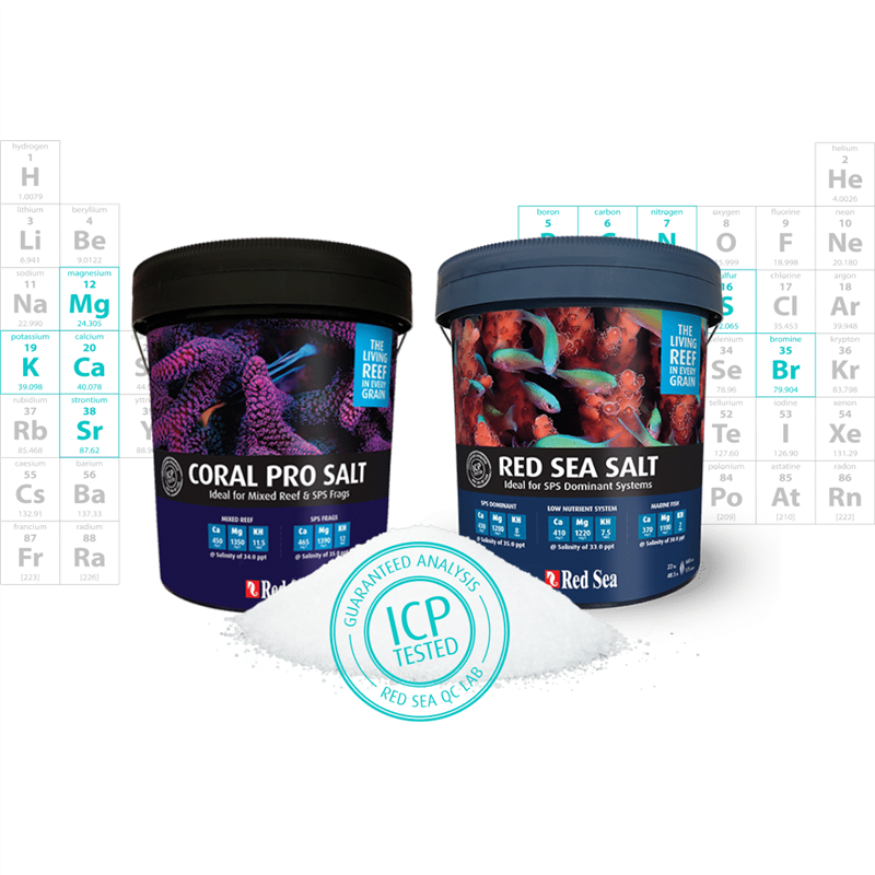 RedSea红海海盐SPS硬骨高钙盐增色珊瑚盐lps海水鱼缸专用盐海水盐,淘宝优惠券,粉丝福利购,淘宝优惠卷