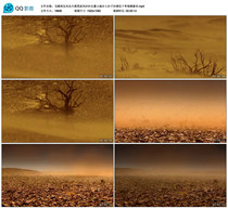 Gobi Northwest Scenery Great Desert Desolate Sandstorm Sandstorm Land Sandy Sand Desertification Drought Video Material