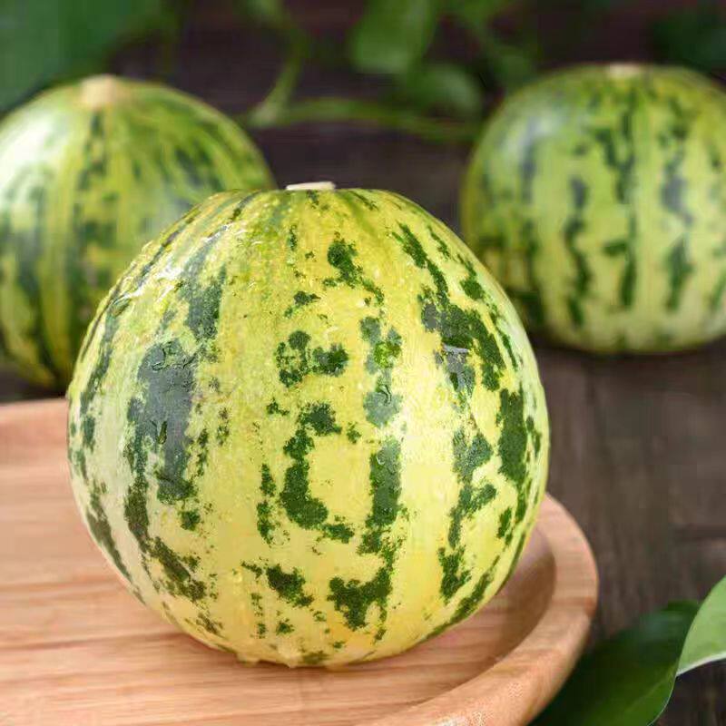 山东八里香香瓜花蕾花姑娘甜瓜玉菇应季水果时令鲜果