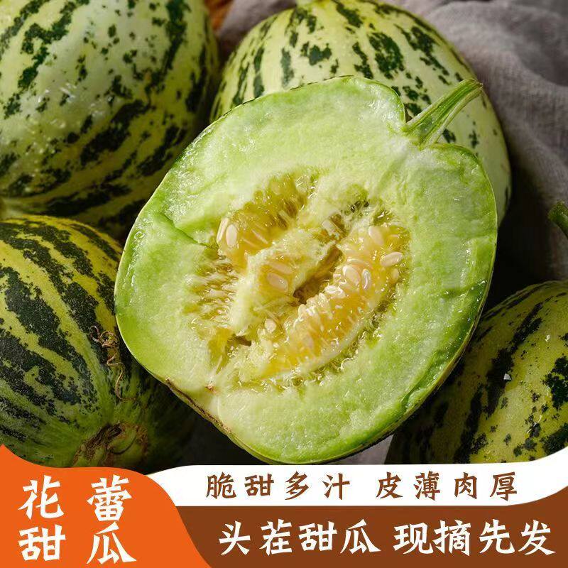 山东八里香香瓜花蕾花姑娘甜瓜玉菇应季水果时令鲜果