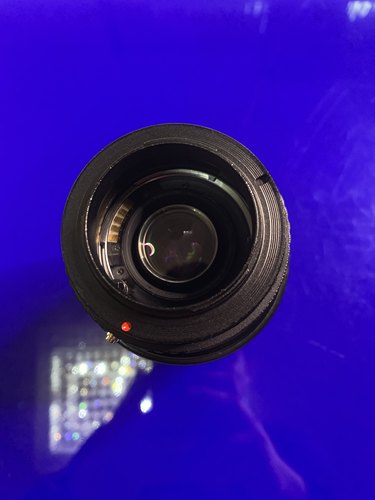 索尼微单E口a7 适马70-300mm/4-5.6 长焦镜头专业1:2微距拍鸟荷花 - 图2