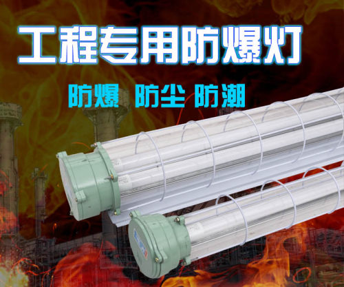 新黎明led防爆灯1x40W单管2X40W双管荧光灯三防灯仓库煤矿日光灯-图0