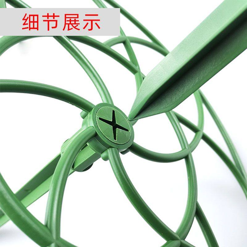 太阳花支架棒棒糖花架爬藤嫁接固定支撑架单层多层蟹爪兰花架造型,淘宝优惠券,粉丝福利购,淘宝优惠卷