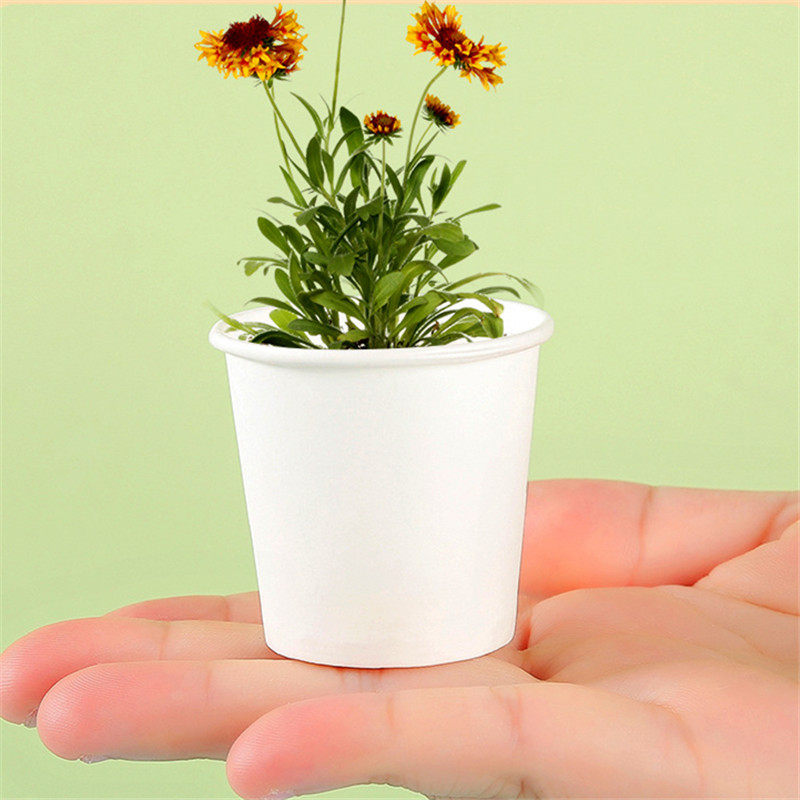 幼儿园儿童小礼品创意卡通种植盆栽小盲盒小学生奖励奖品分享礼物