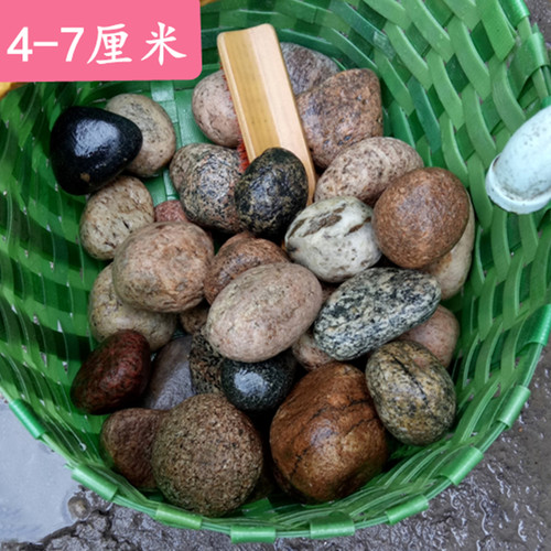 天然鹅卵石超大园艺装饰河石鱼缸庭院造景大石头原石池塘小软石子 - 图2