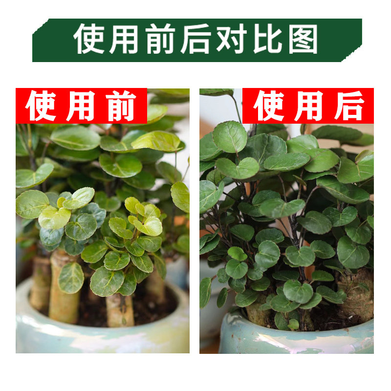 金钱兜肥料圆叶福禄桐专用肥盆栽营养液绿叶喷施肥有机复合颗粒肥,淘宝优惠券,粉丝福利购,淘宝优惠卷