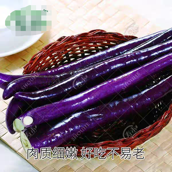 杭茄一号长茄种子20粒3元线茄籽肉质细腻耐旱抗性强,淘宝优惠券,粉丝福利购,淘宝优惠卷