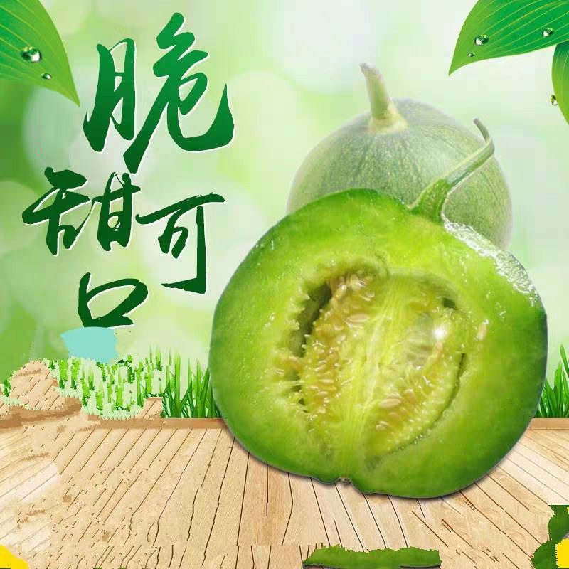 冰美人绿宝甜瓜籽10粒2.8元绿宝石甜瓜绿皮绿肉薄皮满28元包邮,淘宝优惠券,粉丝福利购,淘宝优惠卷