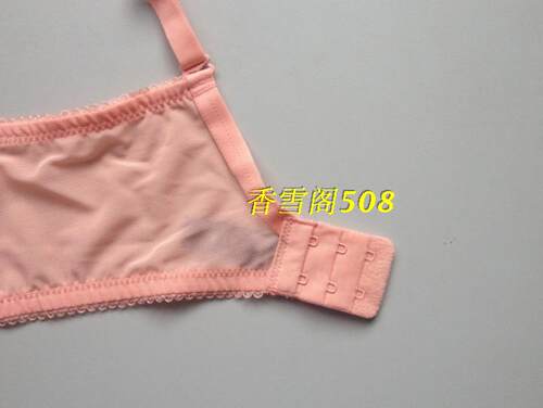 专柜正品伊丝艾拉18014 AB厚杯性感聚拢文胸小胸水袋杯内衣 - 图3