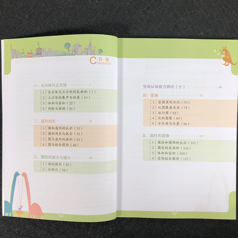 图形与几何第四册 小学数学能力训练系列 张天孝著  适用五六年级正版教学辅导教材数学思维训练中考附答案 小学教师教辅课外书籍 - 图2