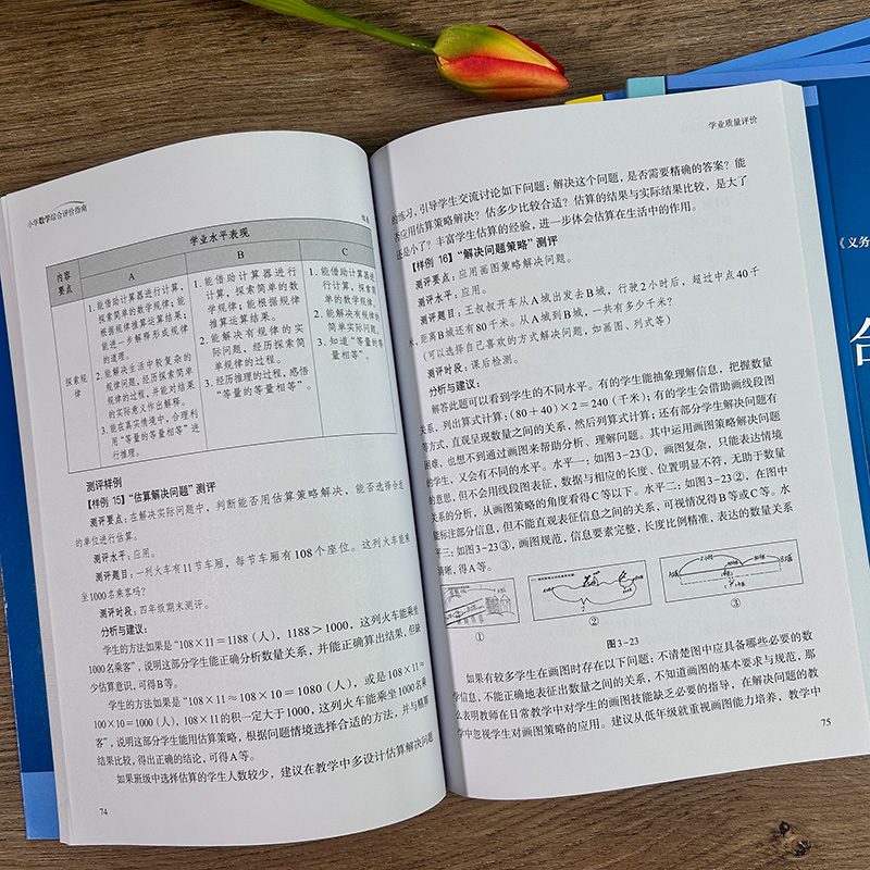 小学数学综合评价指南 小学生综合评价丛书 小学教师教育工作者指导用书 小学综合素质评价理论实践研究指导用书 浙江教育出版社