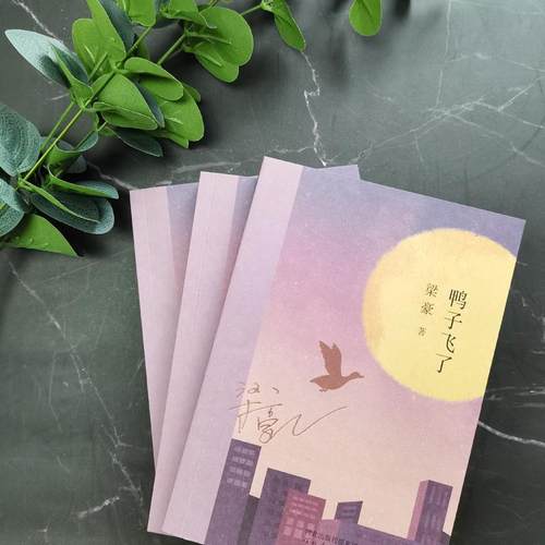 RT69包邮 鸭子飞了河北教育出版社小说图书书籍 - 图2