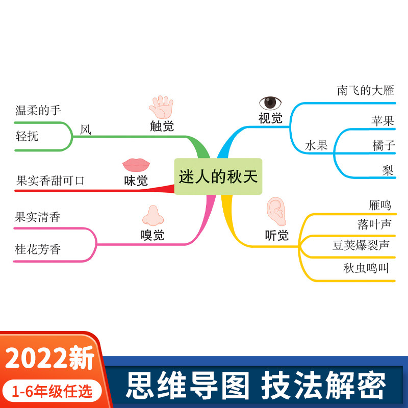 小学生五感法写作文一年级二年级三四五六年级全一册人教版同步作文辅导练习册作文素材字词积累作文大全满分作文模板看图写话_虎窝淘