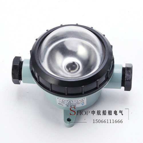 上海亮舟船用塑料白炽舱顶灯CCD3-2/3舱室照明灯24V30W/CCS证正品 - 图3