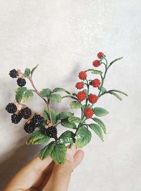 微钩手作树莓红莓饰品花枝耳环胸针花束拍照道具小众饰品花朵果实