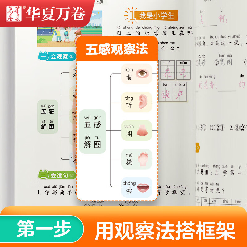 华夏万卷小学生语文同步字帖一二年级下册看拼音写词语 看图说话写话字帖三四五六年级下册字词句同步训练描红硬笔楷书字帖 - 图0