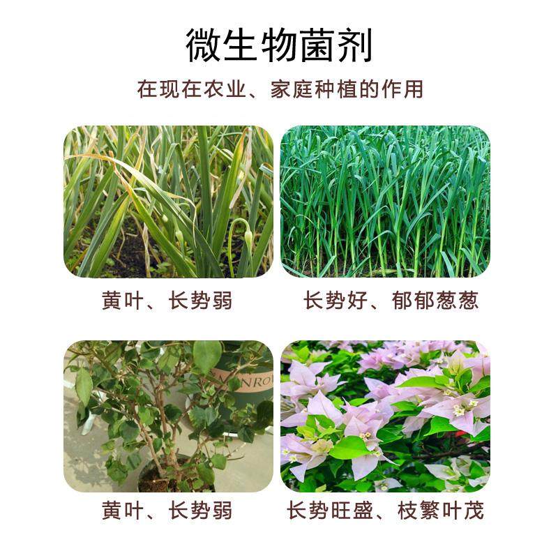 枯草芽孢杆菌农用防治病害肥有机蔬菜种植土壤改良菌微生物菌剂,淘宝优惠券,粉丝福利购,淘宝优惠卷