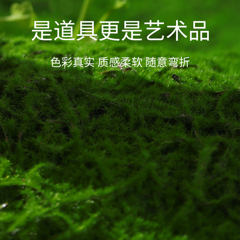 仿真摄影道具创意森系外景背景布 仿真草坪摄影道具创意森系外景拍摄 华胜旗舰店 淘优券 仿真摄影道具创意森系外景背景布 仿真草坪摄影道具创意森系外景拍摄 华胜旗舰店 淘优券