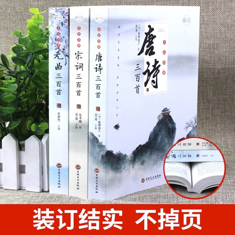 全套3册 唐诗宋词三百首鉴赏辞典元曲正版全集小学生必背300首幼儿启蒙一百首75儿童古诗中国诗词大会全套古诗词飞花令书籍大全年 - 图1