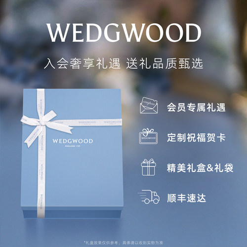 WEDGWOOD杜鹃一人悦享壶杯碟3件套茶具骨瓷子母壶礼盒生日礼物 - 图3