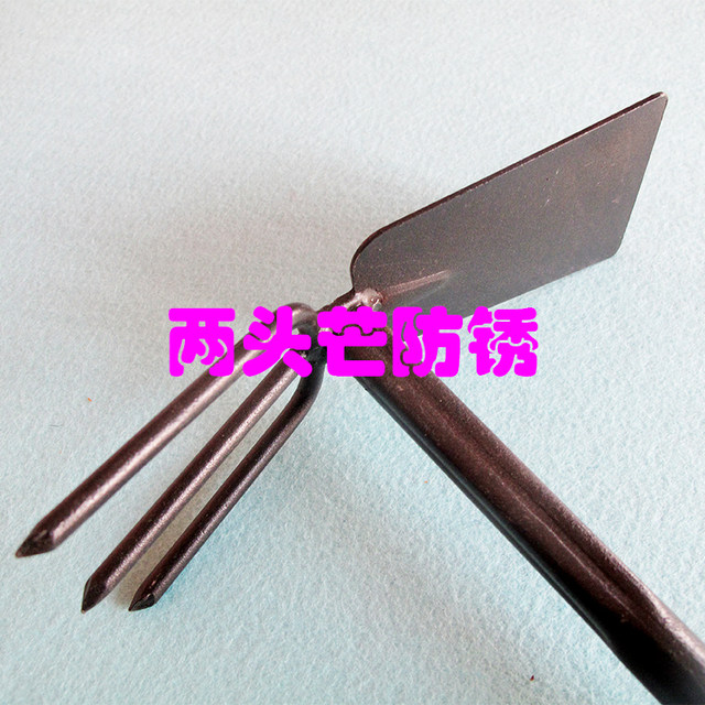 Two busy rakes and hoe agricultural and gardening tools for growing vegetables, weeding, harvesting vegetables, plowing soil, loosening soil and digging holes