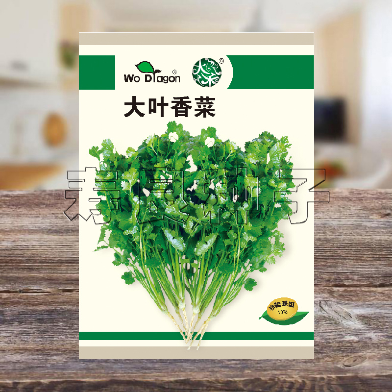 大叶菠菜香菜油菜种子耐寒耐热易出芽阳台盆栽四季寿光蔬菜种籽 - 图1