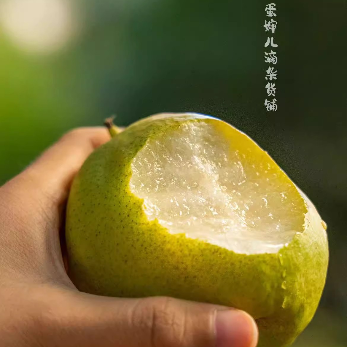 蛋婶儿库尔勒香梨梨子新鲜水果正宗新疆特产当季礼盒孕妇水果多汁 - 图0