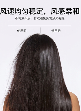 智能温控远离烘烤负离子护发
