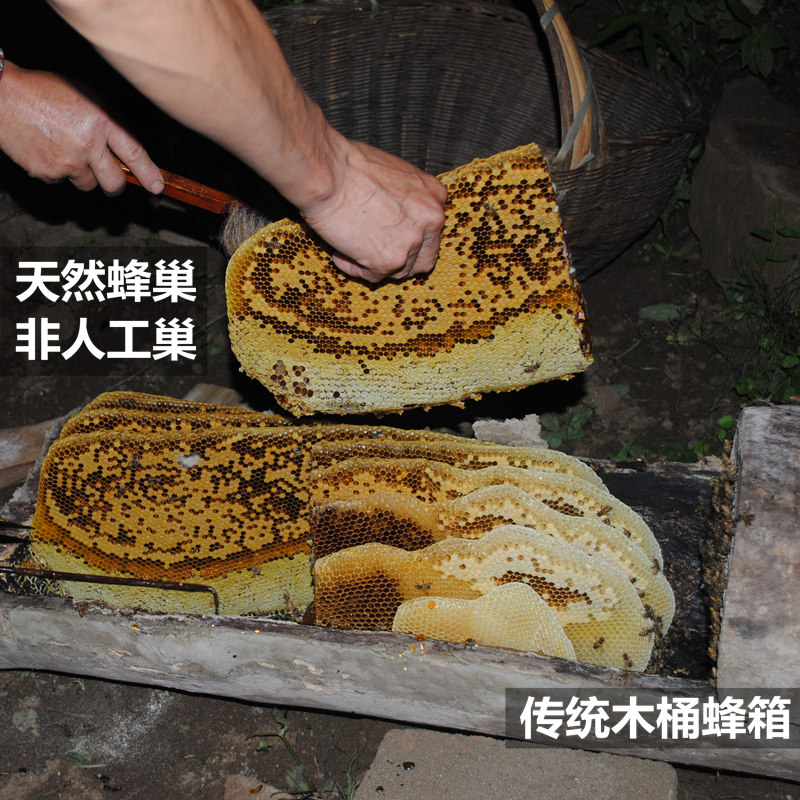 一斤蜂巢蜜嚼着吃纯正天然农家自产土蜂蜜巢块野生老巢蜜蜂窝蜜 - 图0