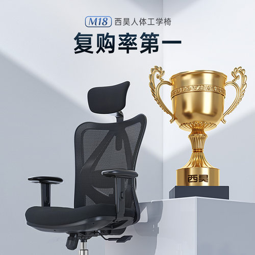 西昊M18人体工学椅电脑椅家用座椅电竞椅护腰靠背办公椅子久坐 - 图0