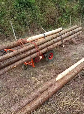 电动汽油双轮平板车运输农用车果园独轮三轮车工地建筑搬运手推车