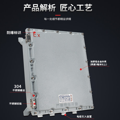 防爆配电箱防爆控制箱柜防爆接线箱防爆专用照明检修电箱防爆壳体 - 图2