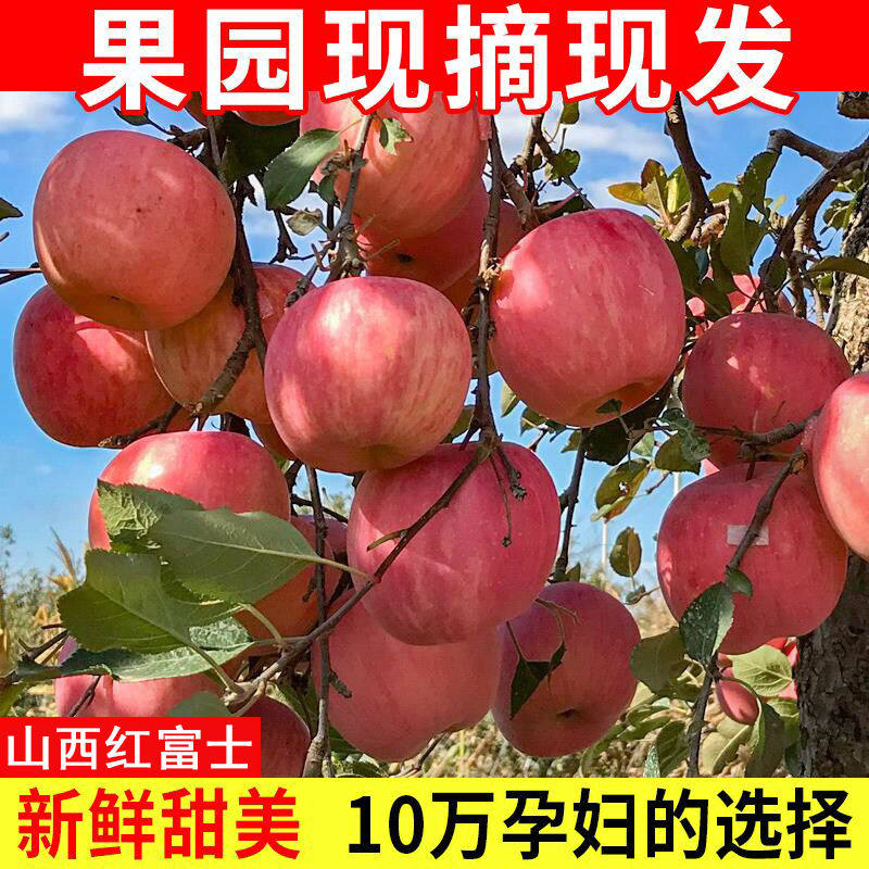山东脆甜高原红富士苹果当季应季新鲜水果2-10斤整箱冰糖心丑苹果,淘宝优惠券,粉丝福利购,淘宝优惠卷