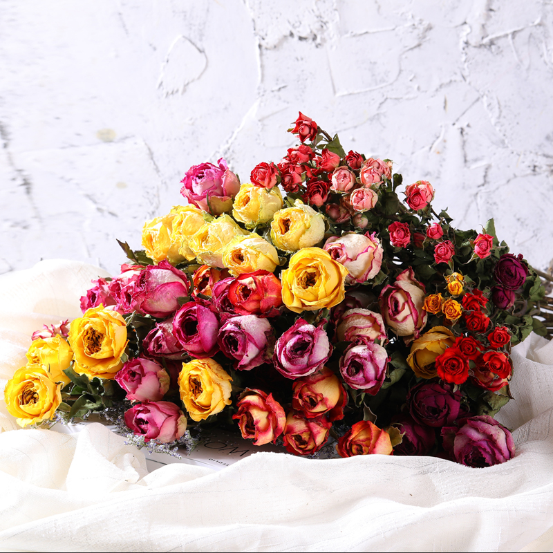 多头小玫瑰 新人首单立减十元 21年8月 淘宝海外