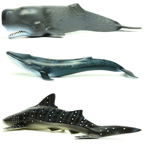 仿真海洋生物动物模型玩具大白鲨鱼海龟海豚企鹅鲨鱼蓝鲸龙虾魔鬼 - 图2
