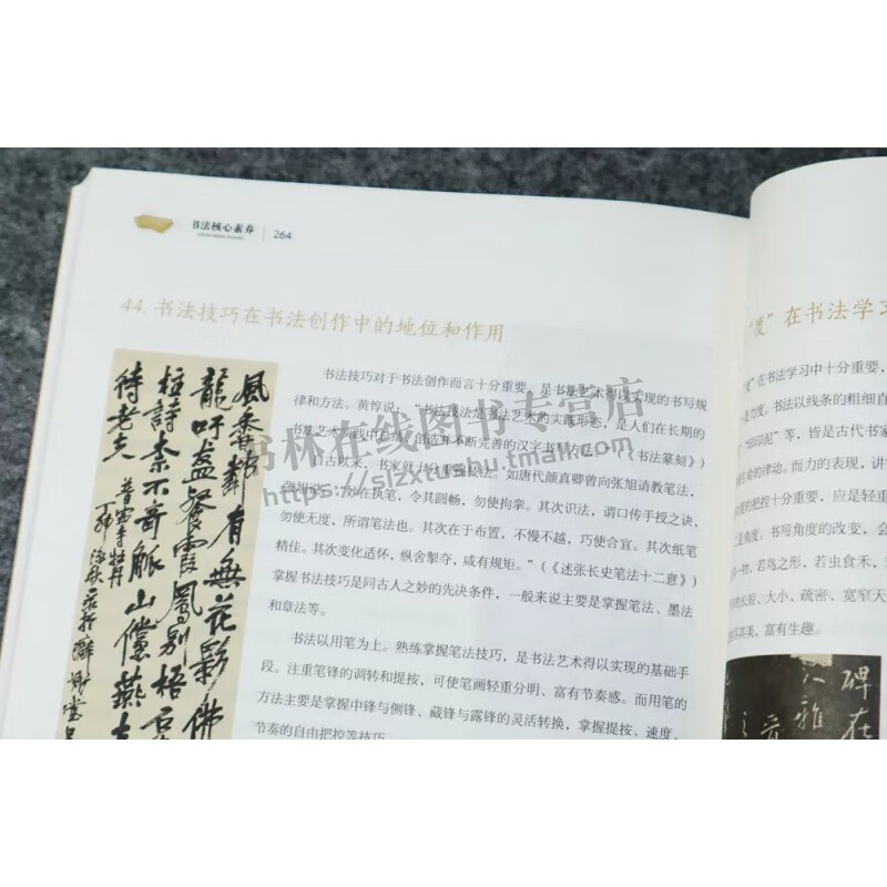 书法核心素养入门读物 崔树强 著 中国书法简史理论美学书法批评鉴赏技法临摹创作教程书籍 江西美术出版社