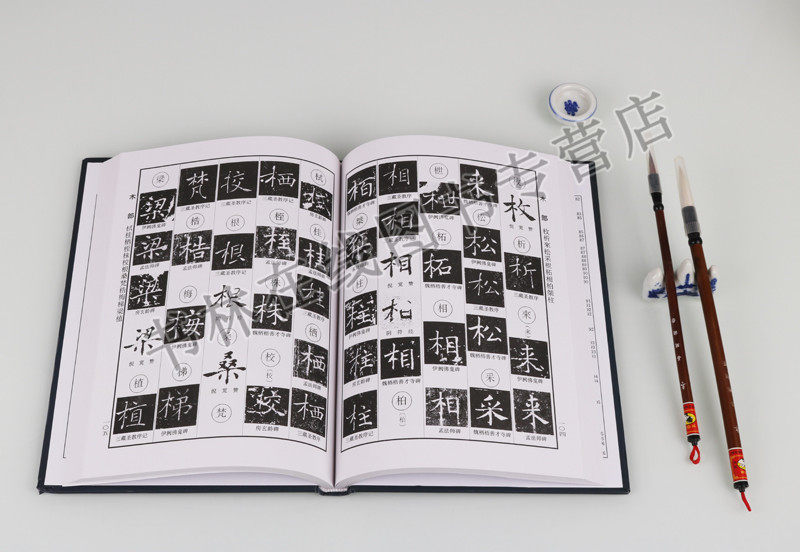 【7成新】褚体辨异字典褚遂良书法字典毛笔字帖临摹技法研究书籍雁塔圣教序大字阴符经倪宽赞千字文毛笔字帖书法篆刻书籍沈道荣编