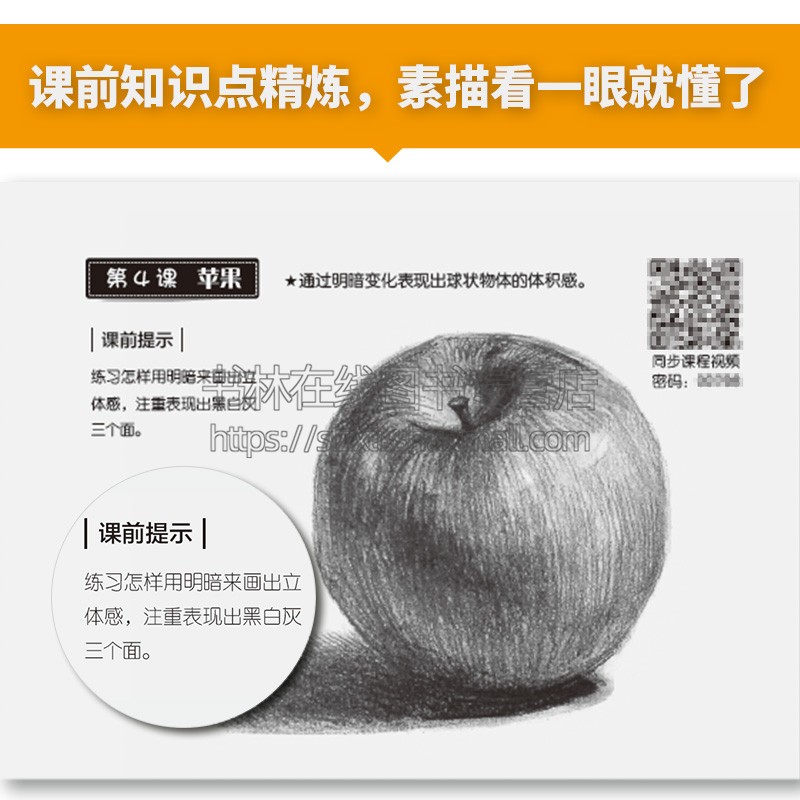 零基础素描完全入门教程:轻松学素描 绘画书籍 从新手到高手的进阶只需30堂课教您快速掌握素描要领 江苏凤凰美术出版社
