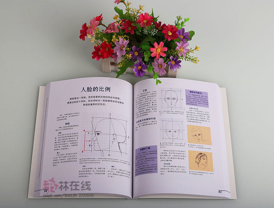 《素描从入门到精通》多米尼克·弗费勒著素描画绘画技法提升技巧基础练习主要画笔用具自然元素静物人物画动物风景北京美术摄影