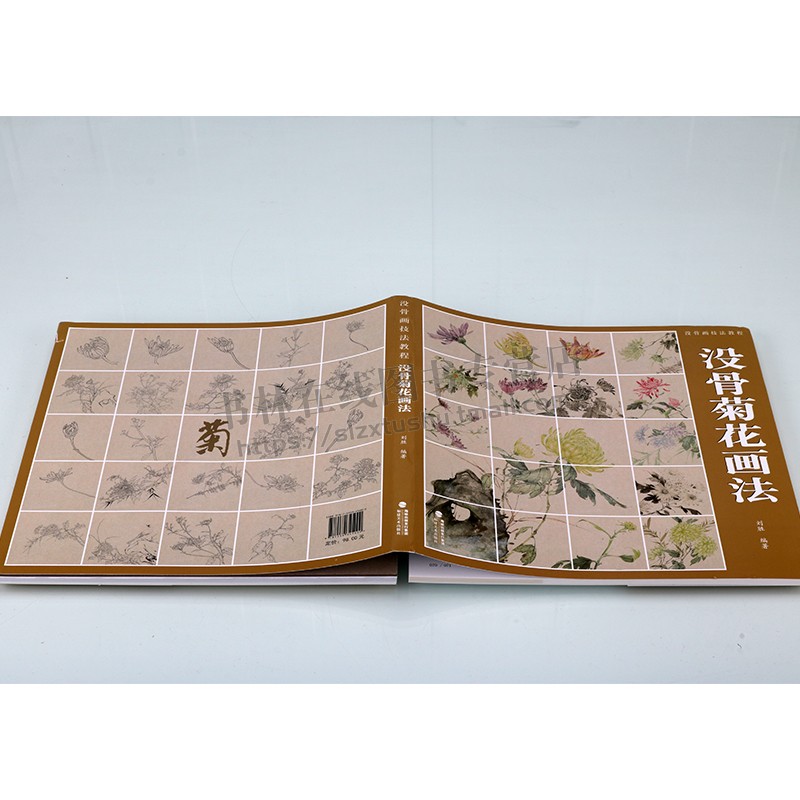 没骨菊花画法 没骨画技法教程 没骨花卉日课教程教学国画临摹画册作品集初学者入门零基础自学白描美术绘画教材书籍 福建美术出版
