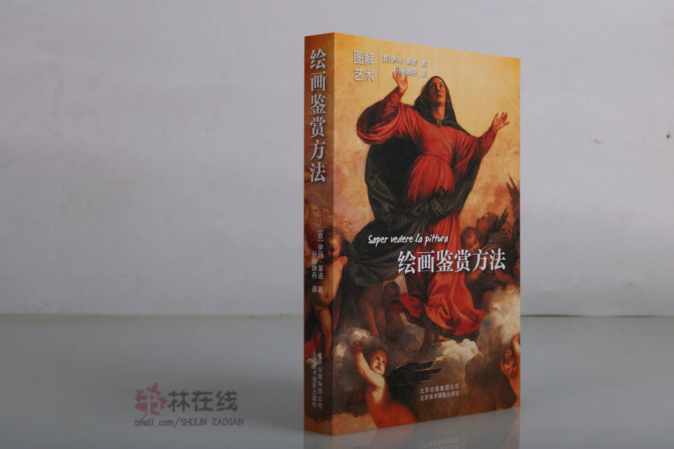 图解艺术系列丛书《绘画鉴赏方法》伊玛莱诺著图解技巧与素材风格鉴赏方法解析世界著名画作画家形式内容分类展览保存北京美术摄影