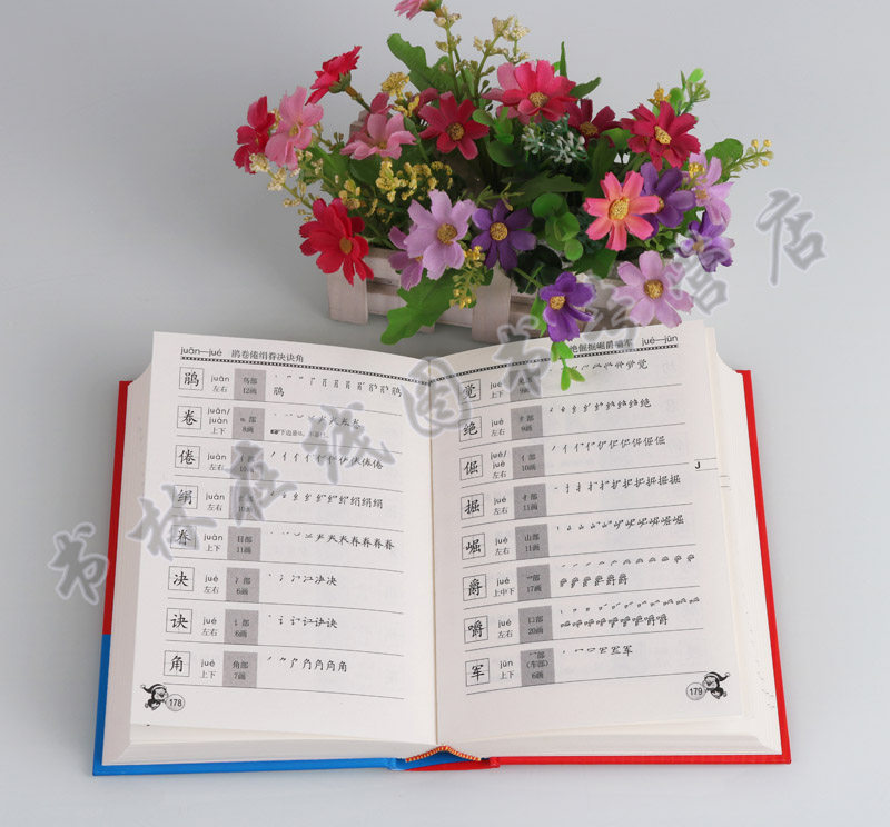 正版 小学生笔顺规范字典 全新版 文轩出品 小学教育专家特别推荐书籍 汉字书写规范字典学生工具书 四川辞书出版社