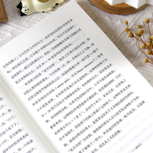 正版夏日走过山间旷野文学代表作约翰·缪尔代表作当代青年的周末放松指南青年译者岳佳欣全新译作人生是旷野不是轨道外国文学书籍 - 图2