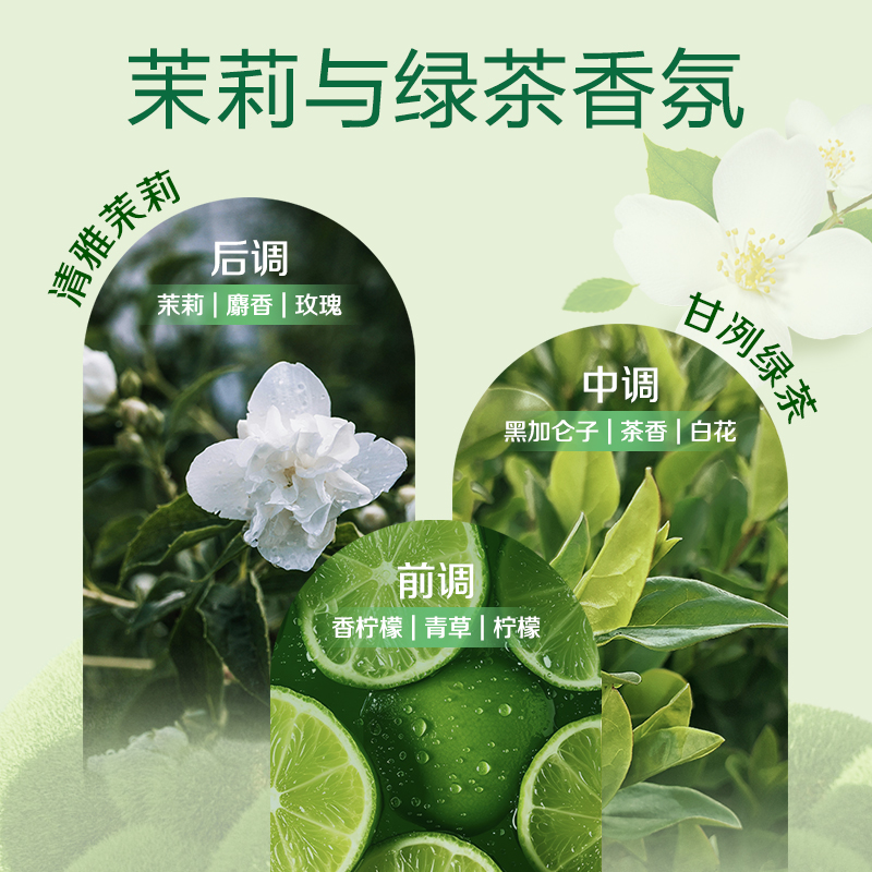 【立即加购】滴露迪士尼联名抑菌洗手液500g茉莉绿茶香型清洁护手 - 图2