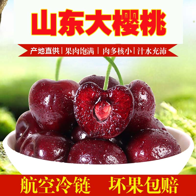 应季露天国产烟台车厘子-第2张图片-提都小院