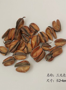 纯天然梧桐树壳 梧桐果壳 梧桐壳 泡桐壳 野外干花干果果实 手工