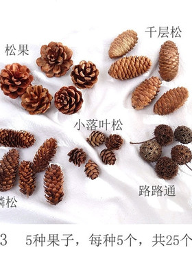 台湾松果干莲蓬雪松塔棉花干花森系材料包diy手工幼儿园环创材料