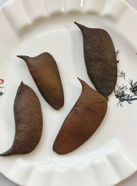 音符豆刀角天然植物豆荚干苏木种荚豆荚娃娃耳朵配件手工diy材料