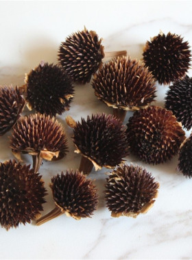 20颗黑心菊干花芯香薰花环材料