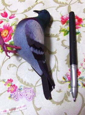 灰鸽子仿真小鸽子鸟家居景观装饰品摆件野鸽子广场鸽小模型假斑鸠